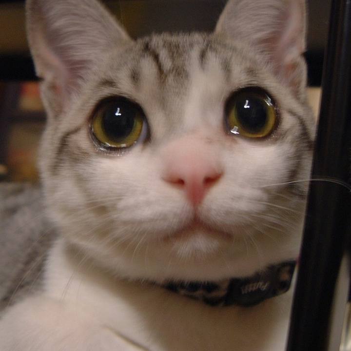 08403577 ae76 4887 9f41 449783b59ae4