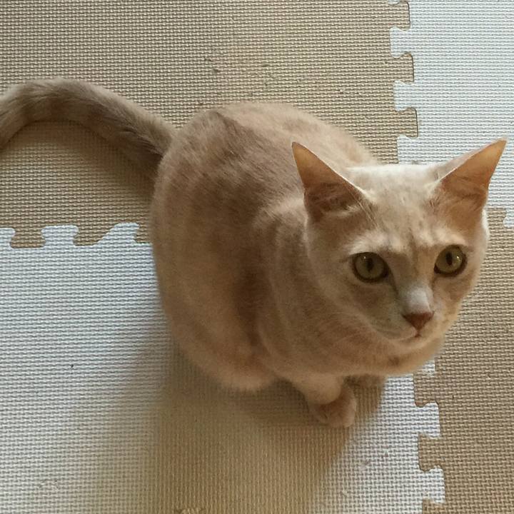 08407870 ff67 4813 a65a 0c7a0daad968