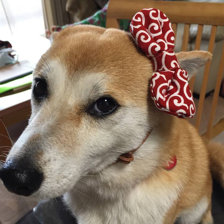 0840853b c621 4e57 acd6 7fdc7ae9f41c