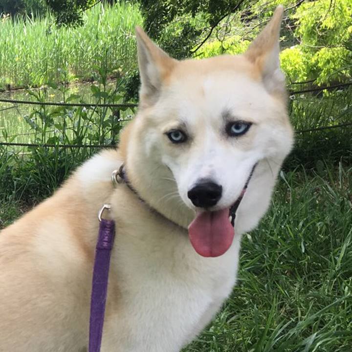 08408770 045c 4505 9fcb 41749f37be90