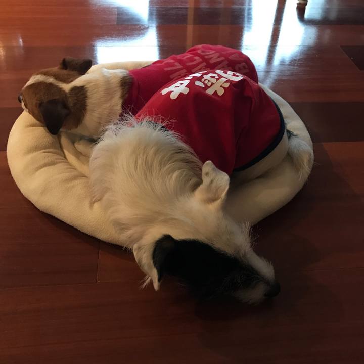 0840e754 57d3 41b0 83c1 f7faef0ec271