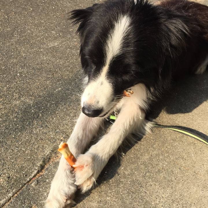 08421b64 3345 44ab abd2 fd9e4553b610