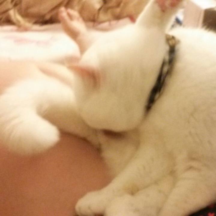 08423fa1 ccaa 4834 983d 328bb08bf095