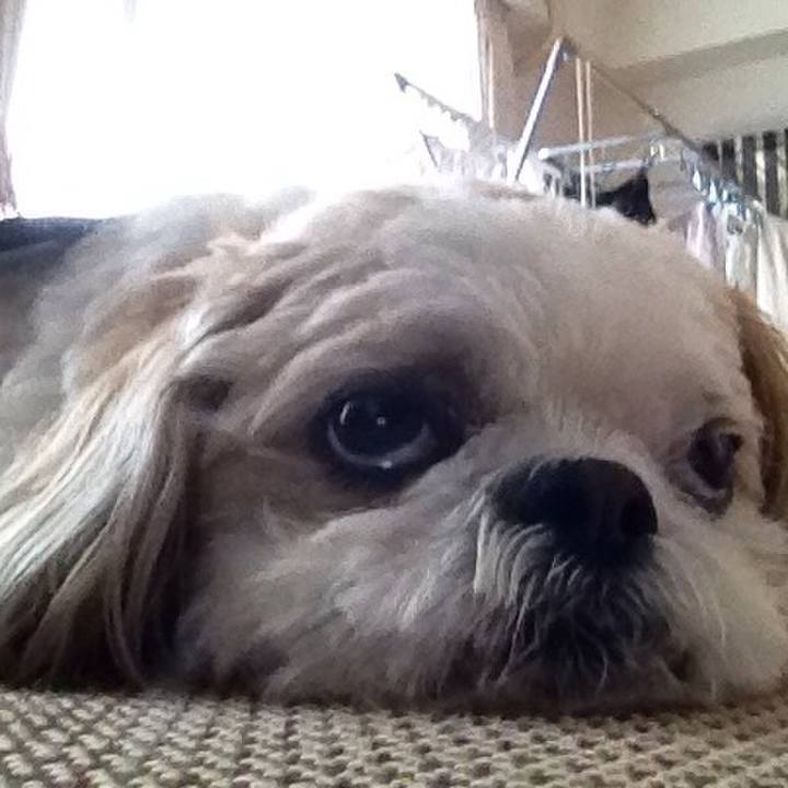 084299ab 99d1 4e9c 9831 bbc8e63d9940