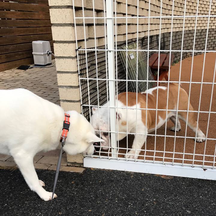 08438fc6 f7ae 4bab ba33 1efbd6b47202