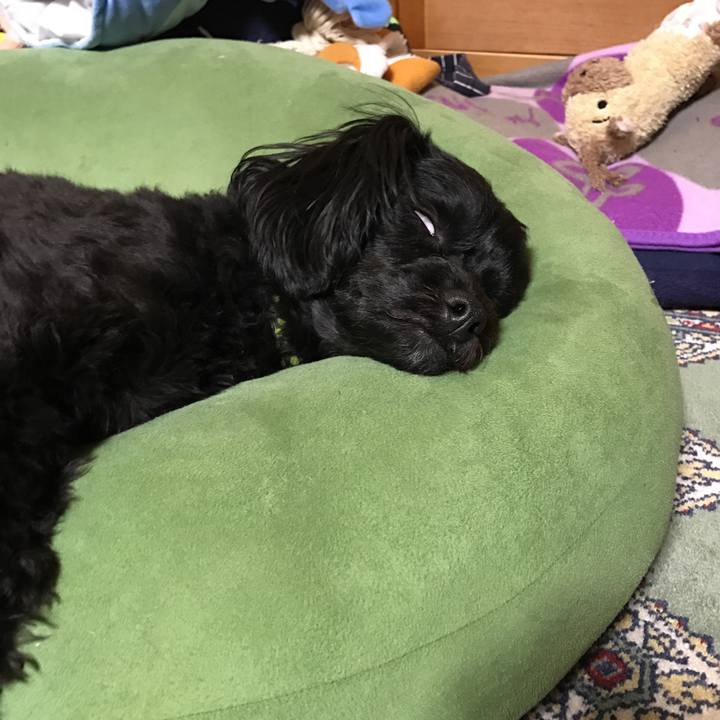 0843cd4d 414c 45dc 8ef1 d0d13b6f8263