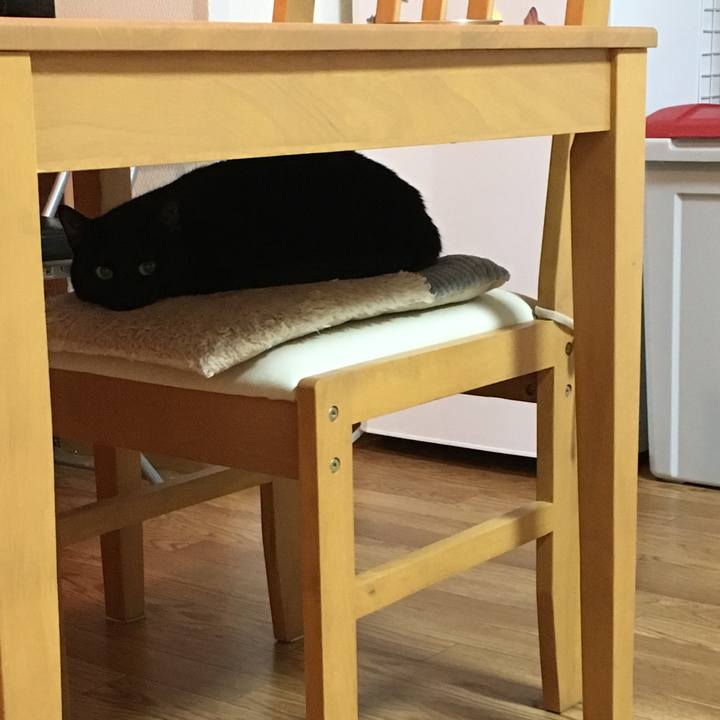 0844c80e 227d 46d1 82c0 9e5d271ba8a0