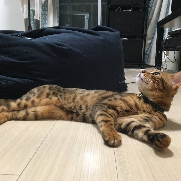 08452381 1d7e 4f20 819c bcbceb190225