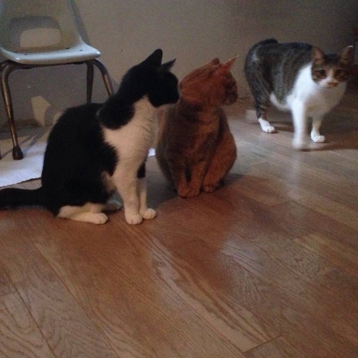 084563d1 ea5b 4d83 86db e2bb4512e46b