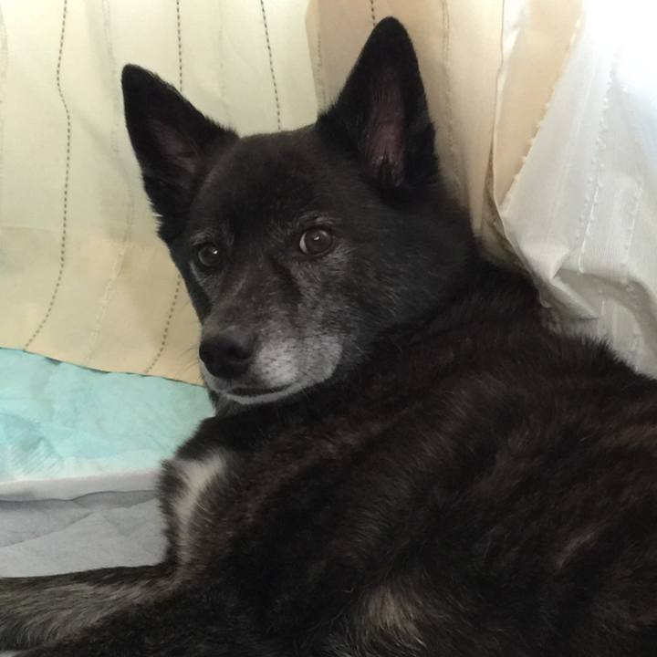 08481c46 95ef 4d3d 956c d12f57398f59