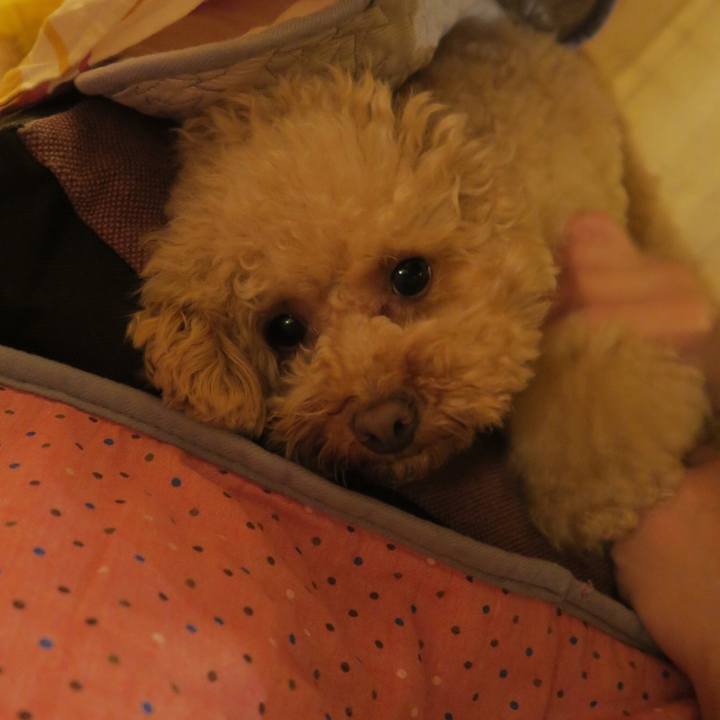 0848585b cb49 499e 8ad9 3a464b88af96