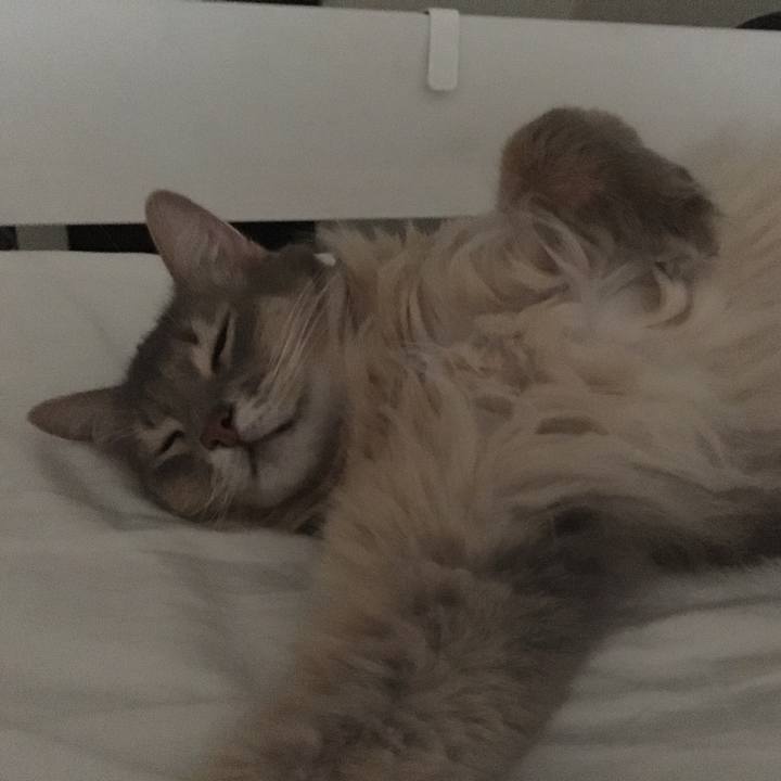 08499d7d 9f34 46c5 93f2 b0248b6a3b0f