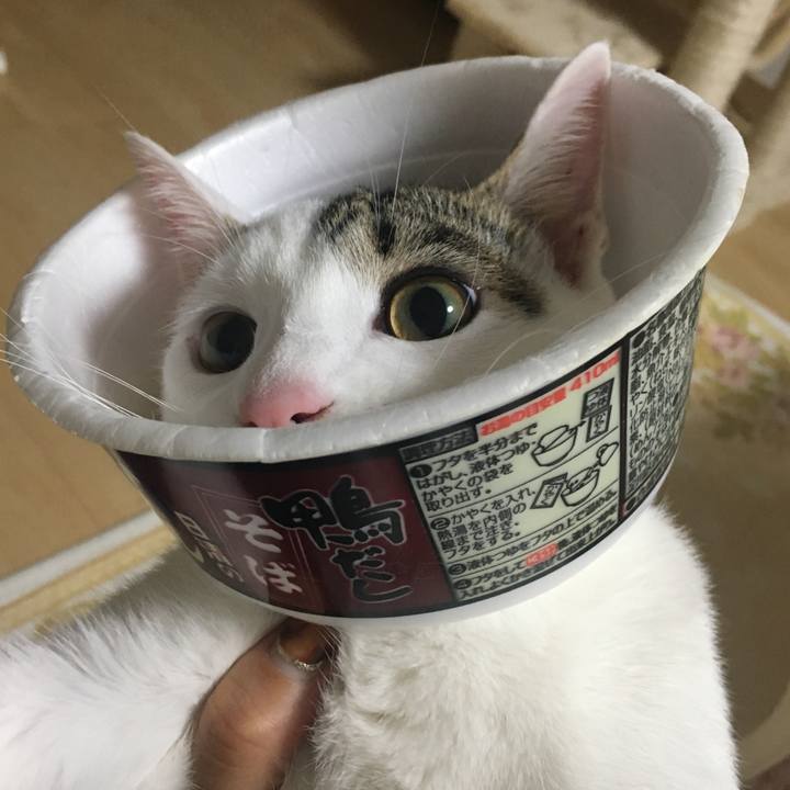 084a6294 2e99 4d79 9c7a 17a3fb39267b