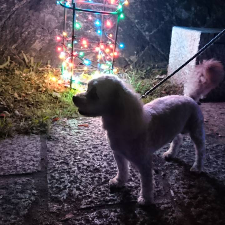 084aff98 30a1 4304 8b91 2604ef5f8054