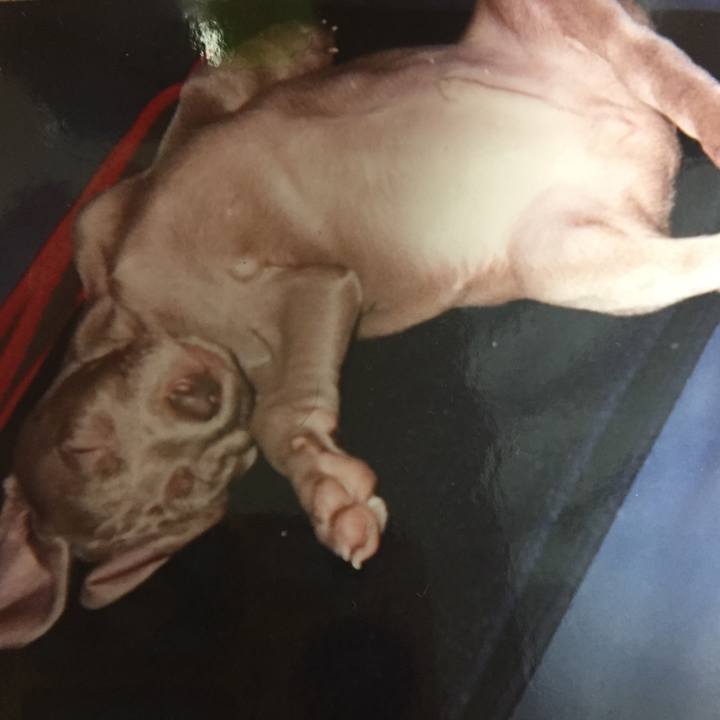 084b0626 78c0 4075 9fac e71c5aedb432