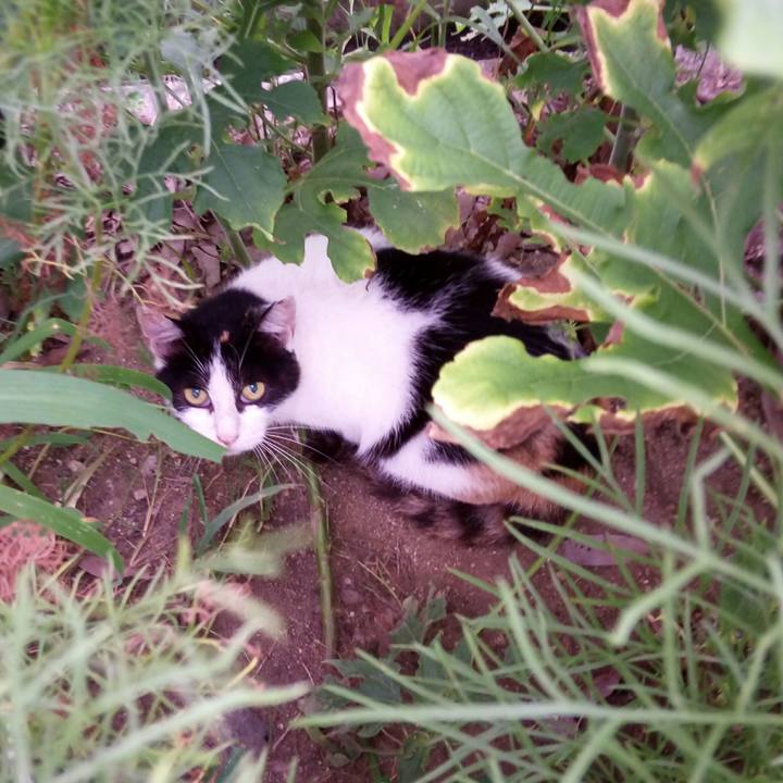 084b33d0 8902 4b40 9f83 05005ef753f1