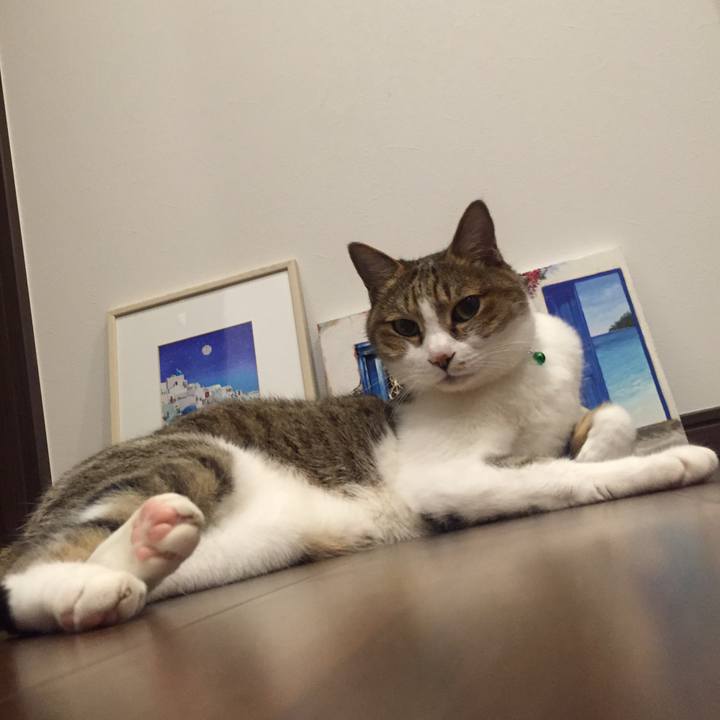 084b3d43 90b5 4e92 91e1 57c57546cca1