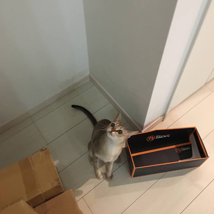 084b6ba7 1392 4c99 bfe1 baf09fd2ee31