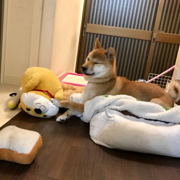 084bc684 b798 49b0 b366 110bd8696cfd