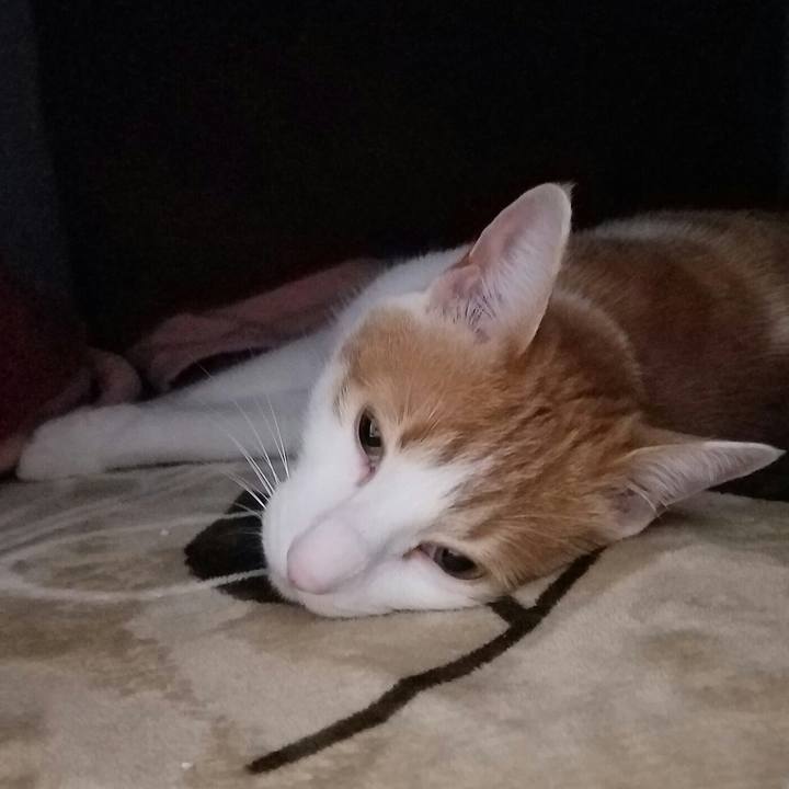 084bf7eb c48f 4da2 a9a1 20eee4d084cc