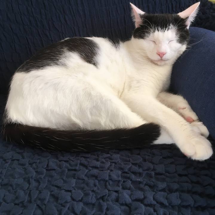 084de6f5 d0db 449c af02 39efc1e7cf57