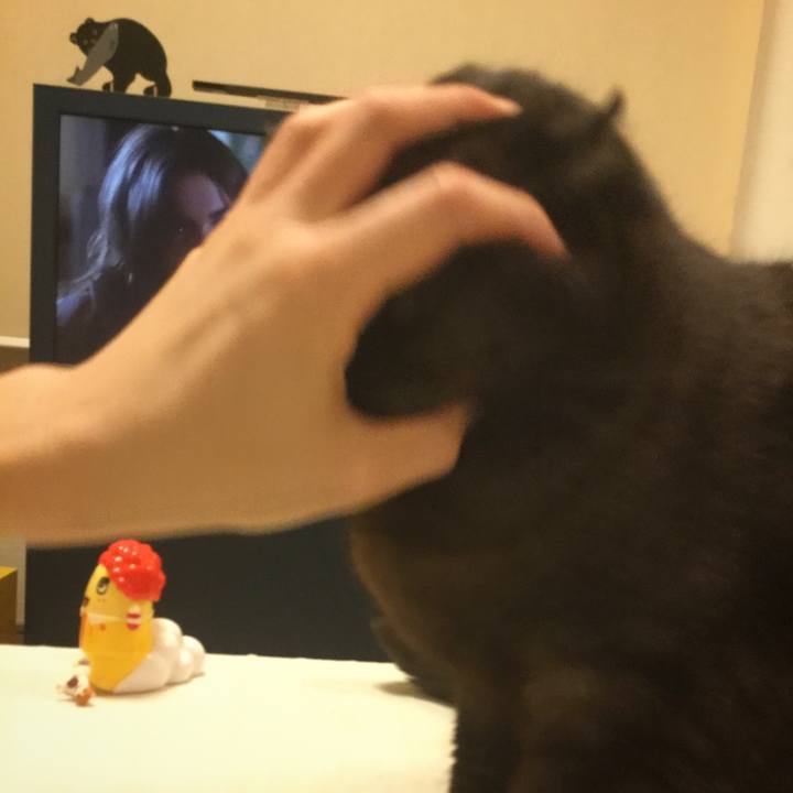 084eb359 4b60 4b47 9430 6d771b6001a1