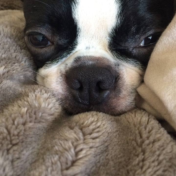 084ecaf9 bf01 45be b3d1 96b13b88f6a4