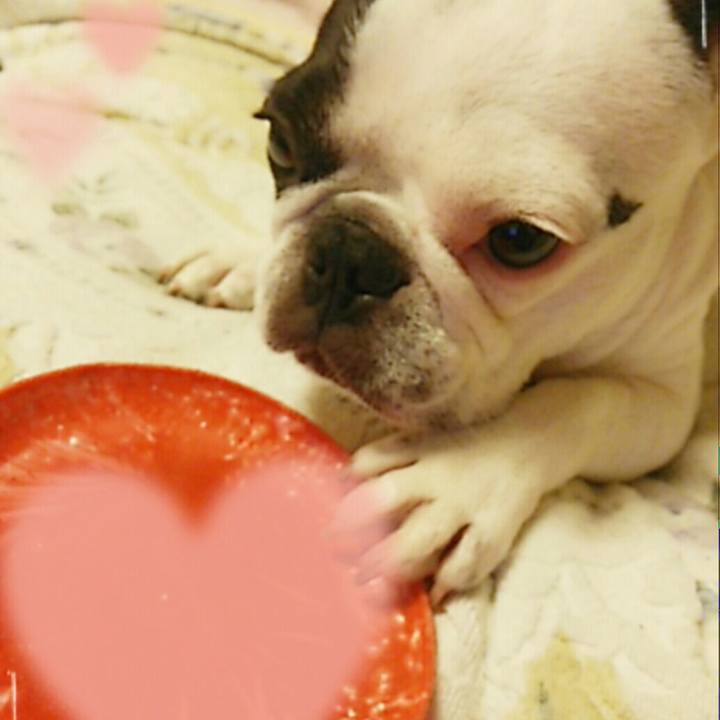 084f3a3e b5e5 4a95 ab00 e7f47fc80c08