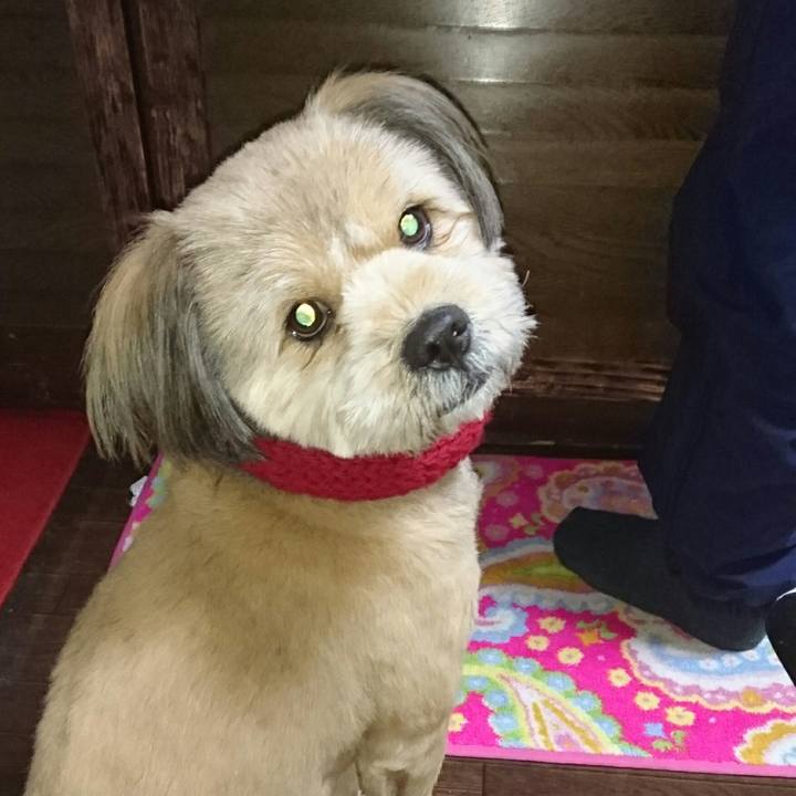 084f748b e8bb 4e8c a1c4 331c47f2804e