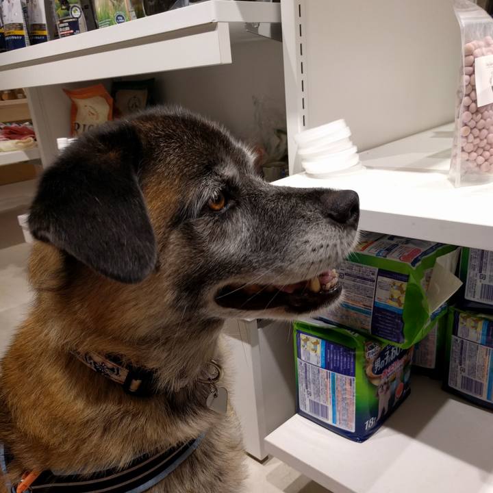 08500fe9 618c 4cdb b08e 53797c8e24ca