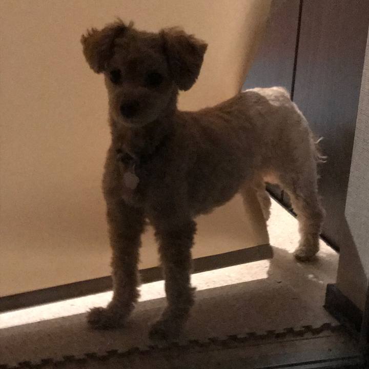 08501737 65ce 4c27 aa50 1e12dcb7203f