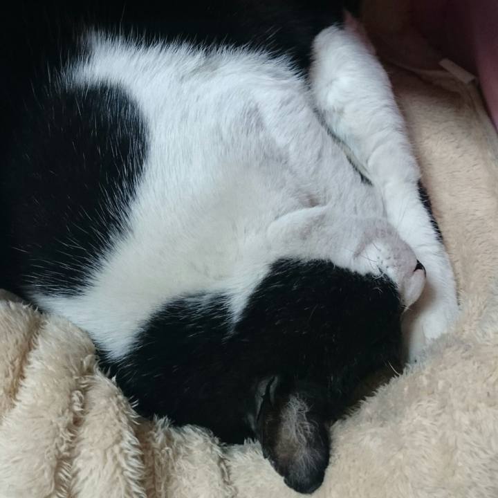 08503124 d43f 4849 a723 2b0916f8ffb6