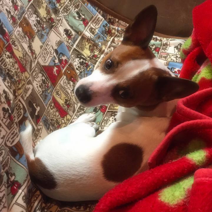 08507896 411d 4e02 a681 a7fd5fd5eca5