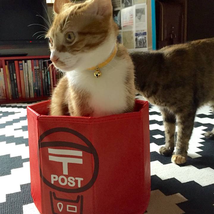 08508248 3448 4e80 b9e0 9eecd0170f43