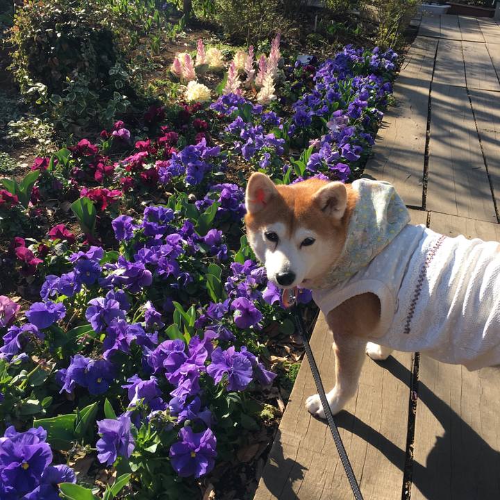 08512487 2675 40e2 b950 628f3a860ae8