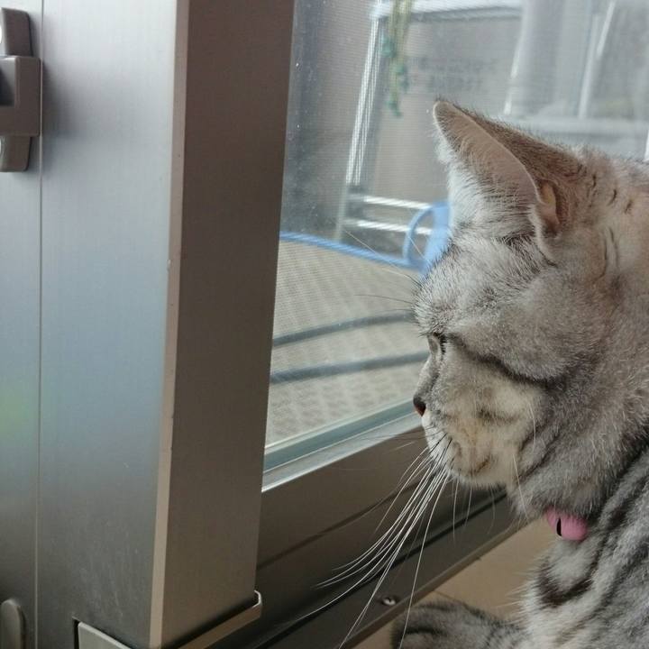 08516540 2cc7 457b 8720 b8ad0edd29c9