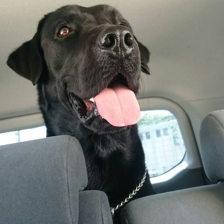 0851a002 b3ea 4ef5 b254 1b9776823de2