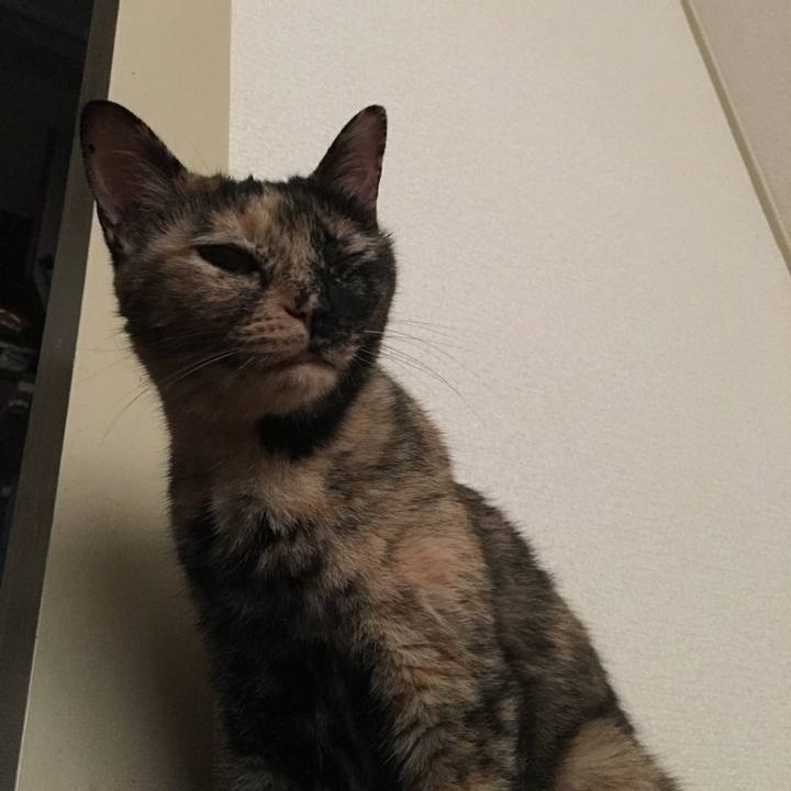 08521dca 746d 47ae be6c e4c4aee1a182