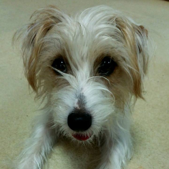 08522a4b 2f35 4734 943b 17530da40d9f