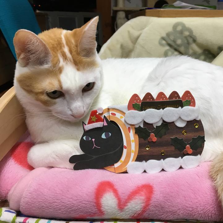 085304bf 9f88 4d64 94ea 430971076f6a