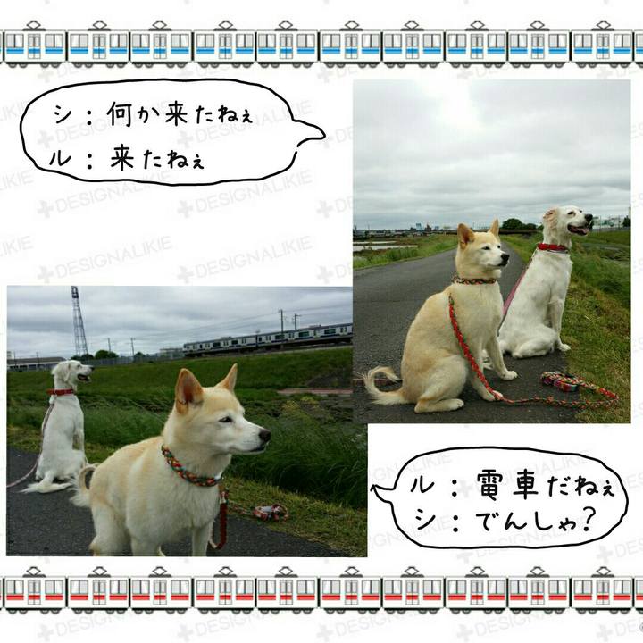 08538127 1792 47b4 8599 ded0fcecf007