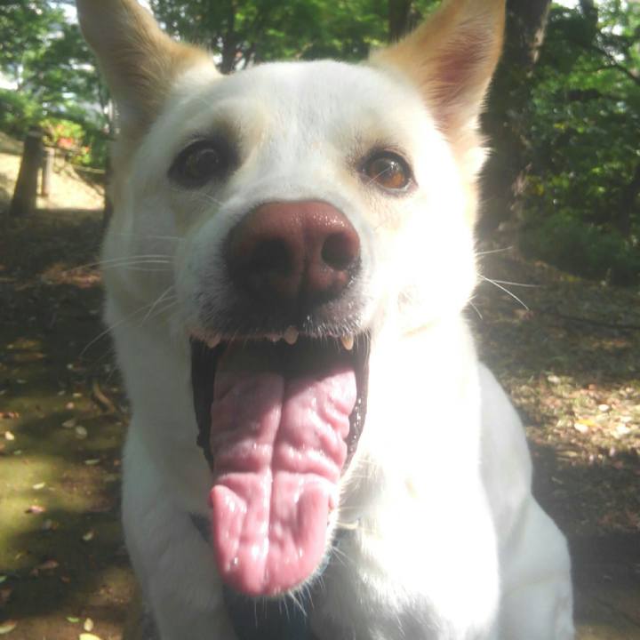 08547757 d829 4761 aa99 183cb9f1335c