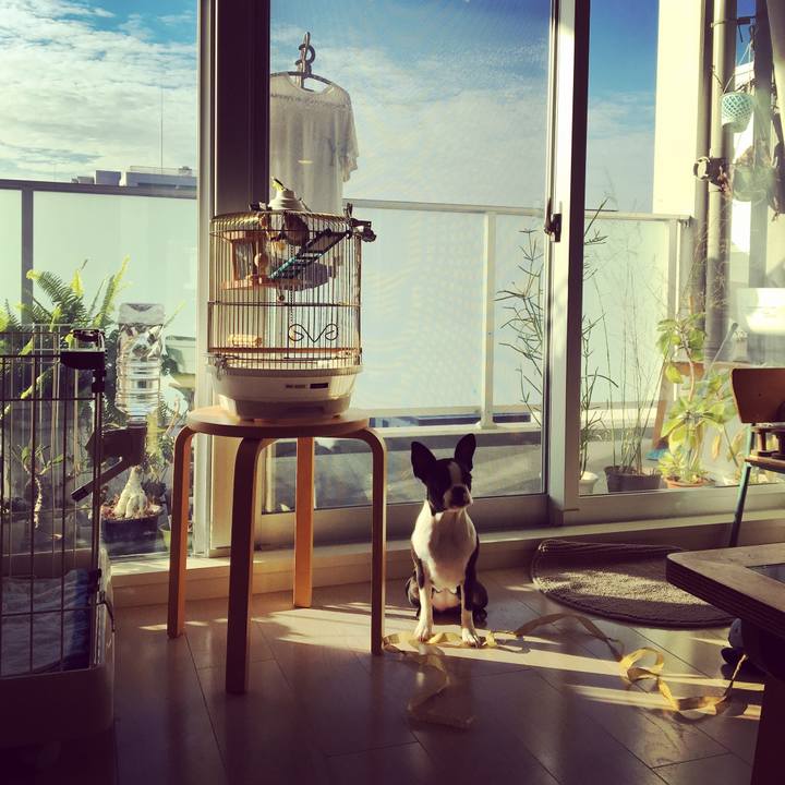 08548923 8248 433b a23a 53dc6a275c2e