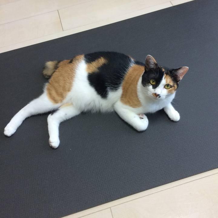 085592ba 110c 4221 a7bd 8c3fba62b8eb