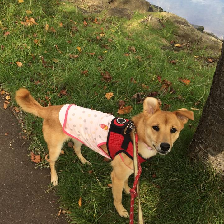 0855e7a6 41ee 4b61 9915 143d566a86b7