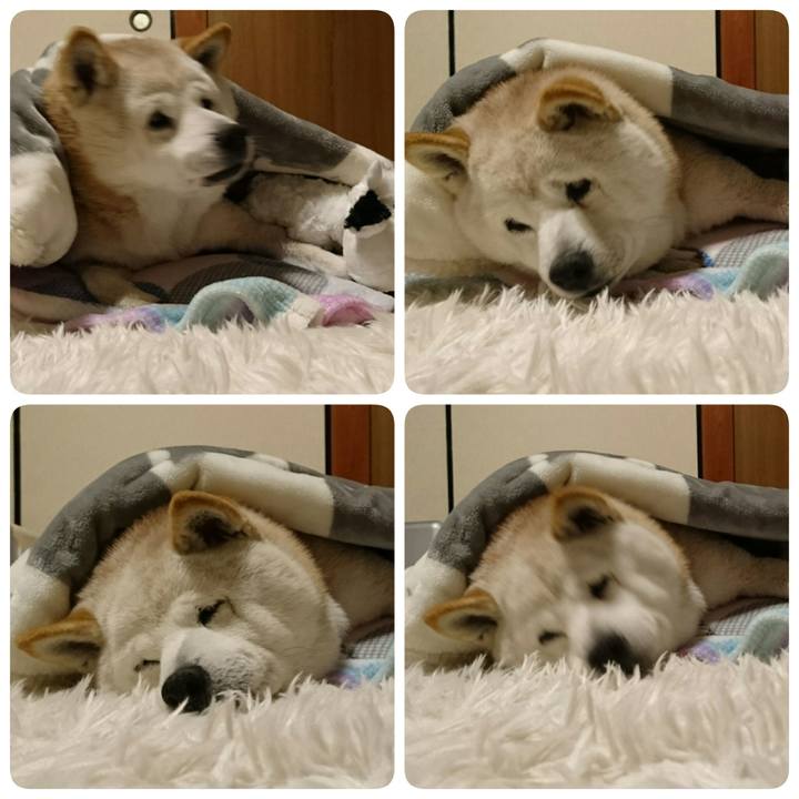 0856b4d2 521f 49f0 b346 1eda6934ba94