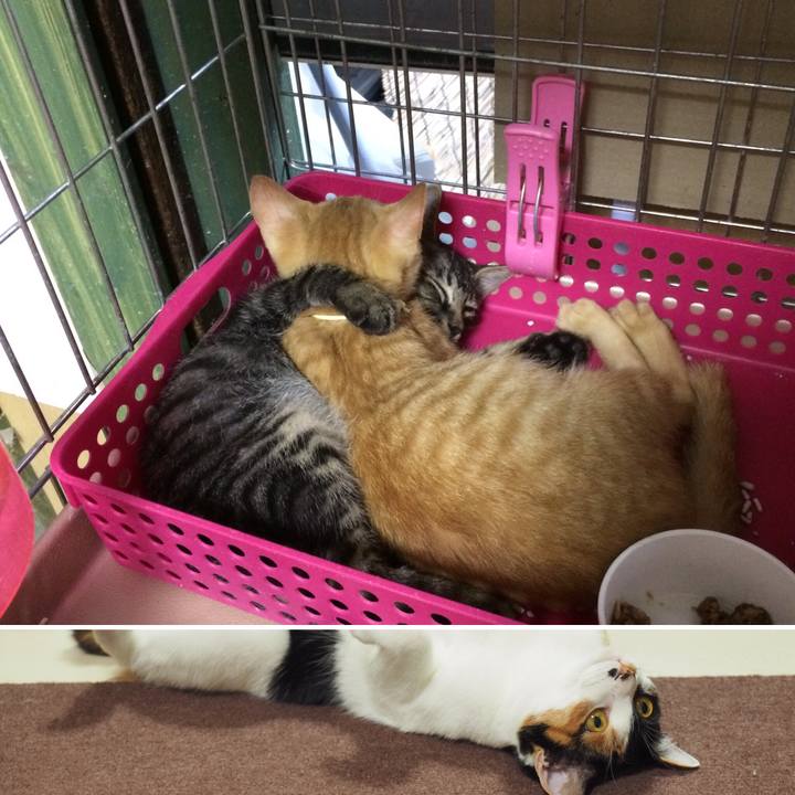 0856ea86 366b 4e28 b3a0 65cd325a21d0