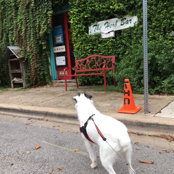 08574ae7 37ef 4a47 a4eb 79864af6b0e8