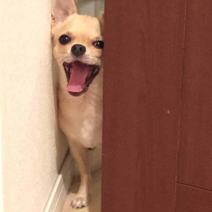 08579317 d866 4144 aeff 37fe060bcdf1