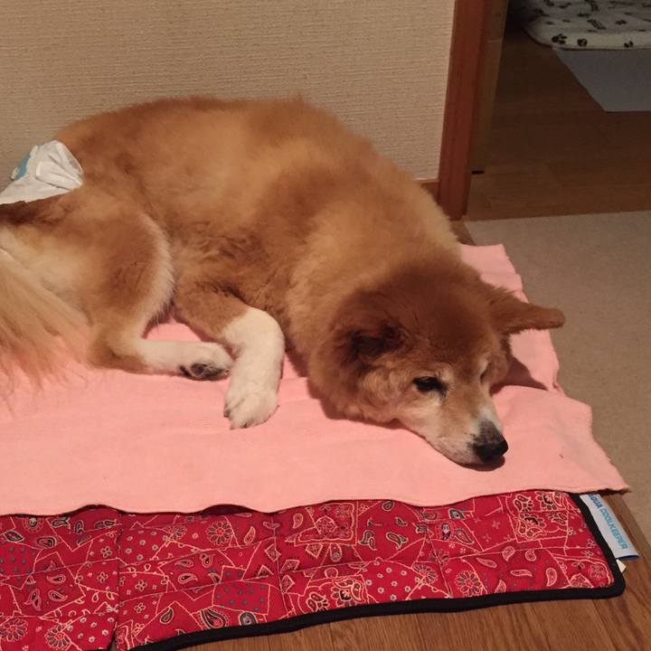 0857b5b7 ab54 4c12 ad36 86ea05e8e7fb